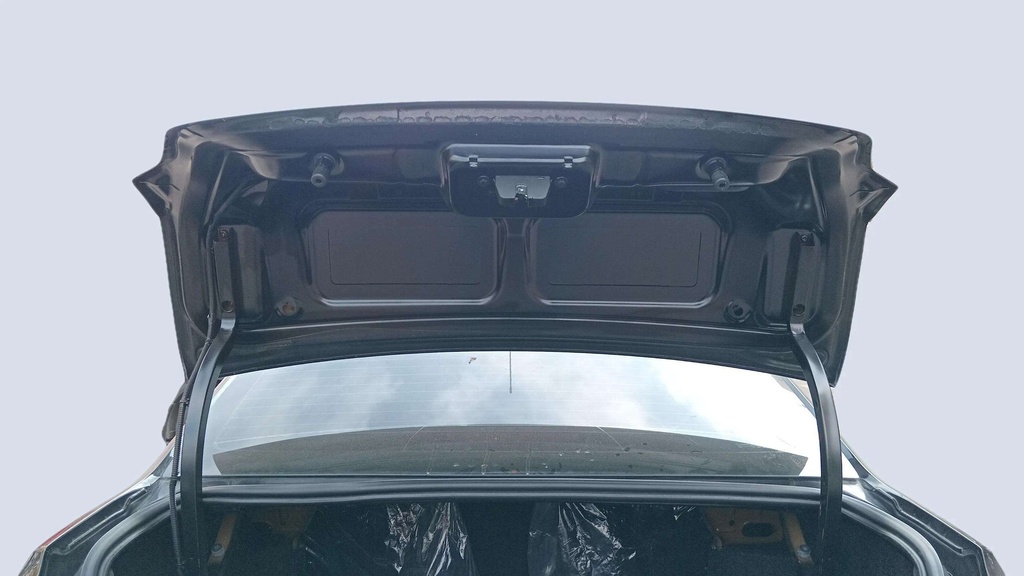 TRUNK HOOD