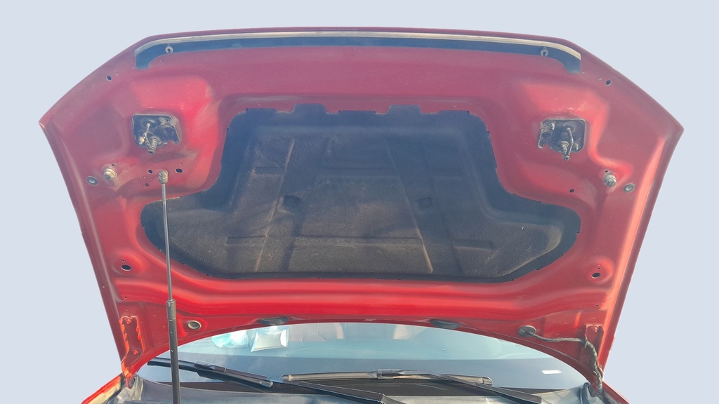 CAR HOOD