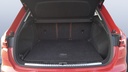 TRUNK