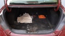 TRUNK