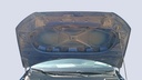 CAR HOOD