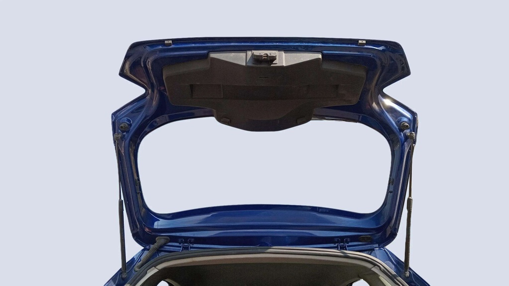TRUNK HOOD