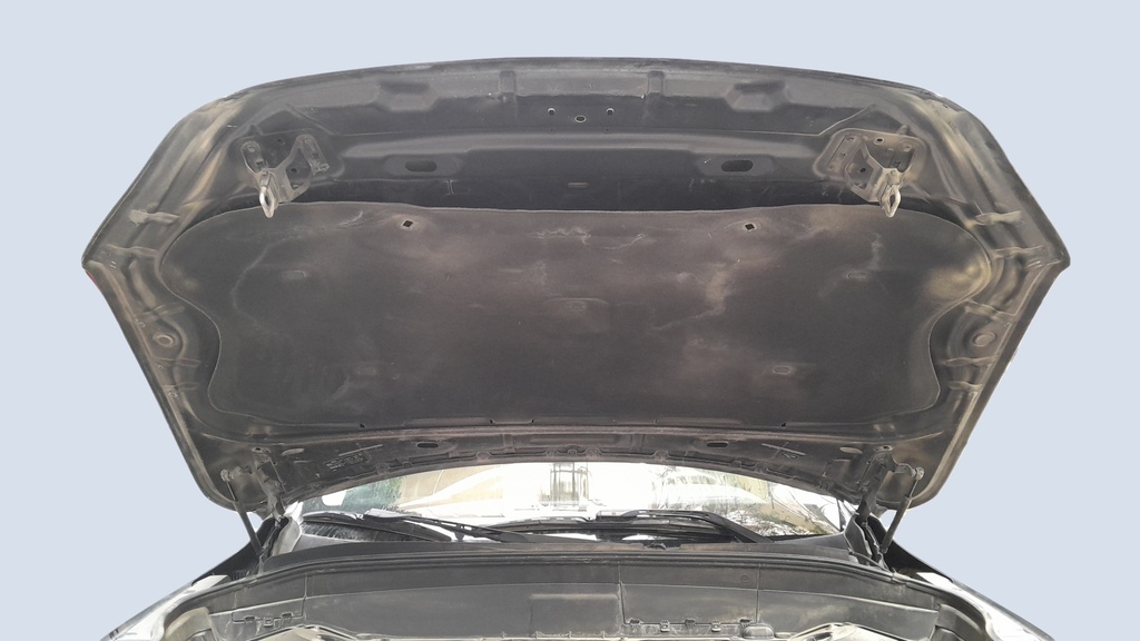 CAR HOOD