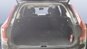 TRUNK
