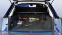 TRUNK