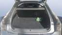 TRUNK