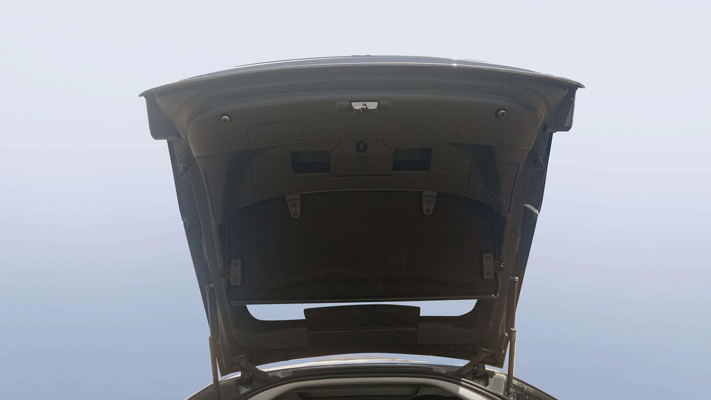 TRUNK HOOD