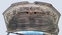 CAR HOOD