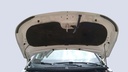 CAR HOOD