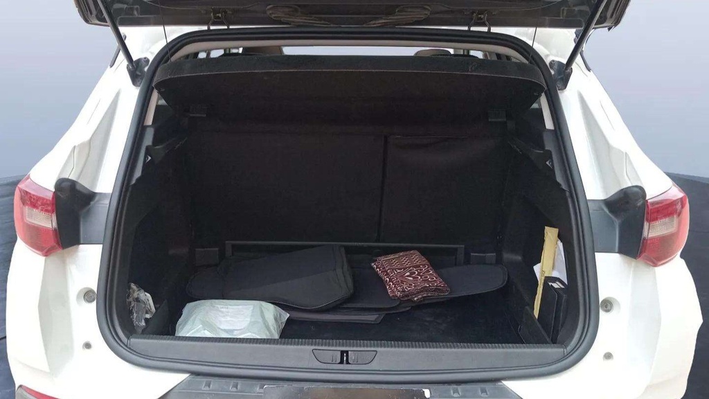 TRUNK
