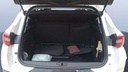 TRUNK