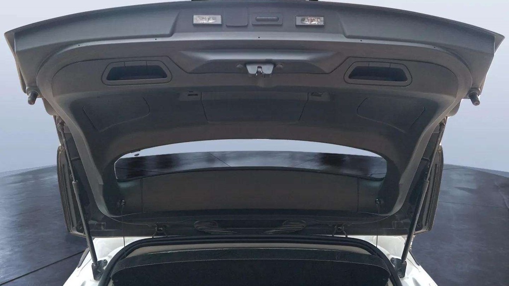 TRUNK HOOD