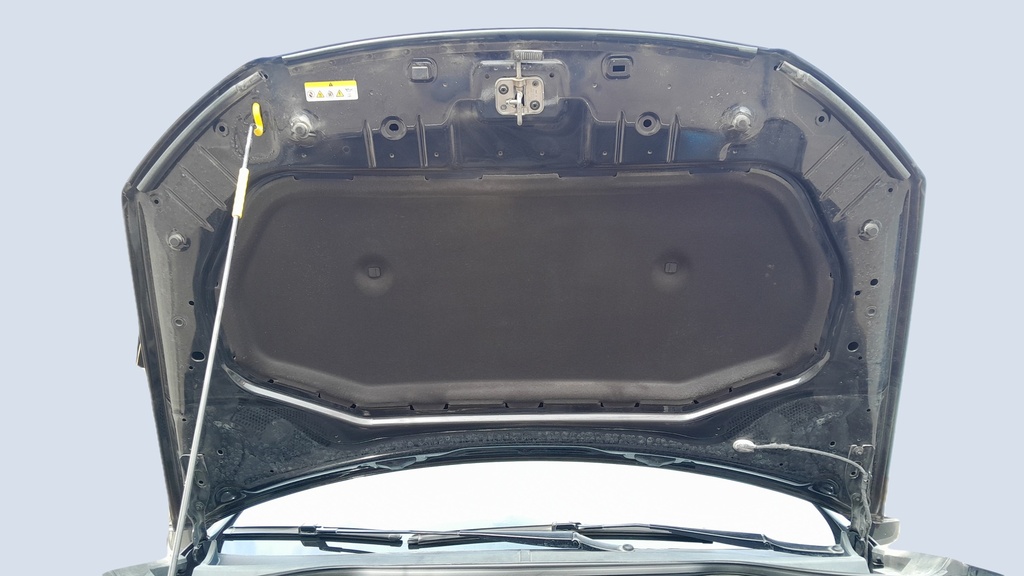 CAR HOOD
