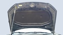 CAR HOOD