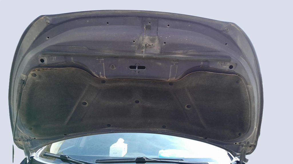 CAR HOOD