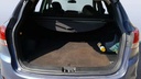 TRUNK