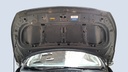 CAR HOOD