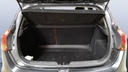 TRUNK