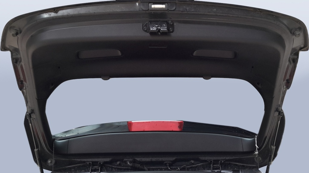 TRUNK HOOD