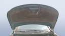 CAR HOOD