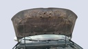 CAR HOOD