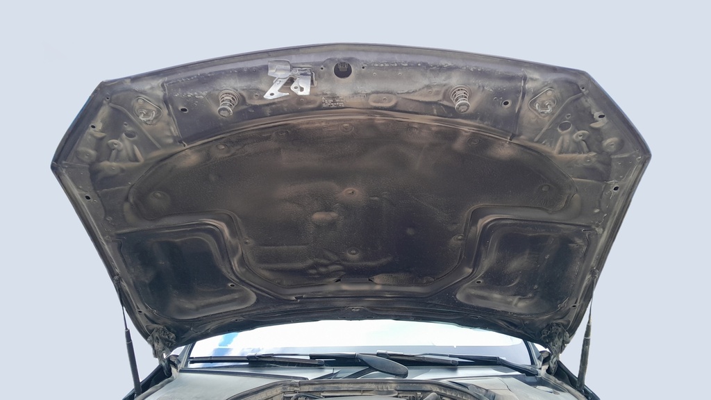 CAR HOOD