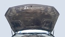 CAR HOOD