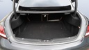 TRUNK