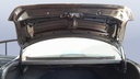 TRUNK HOOD
