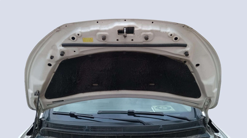 CAR HOOD