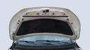 CAR HOOD