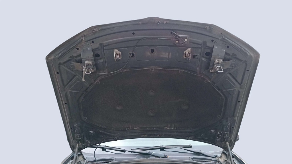 CAR HOOD