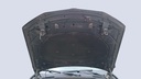 CAR HOOD