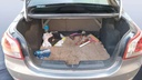 TRUNK