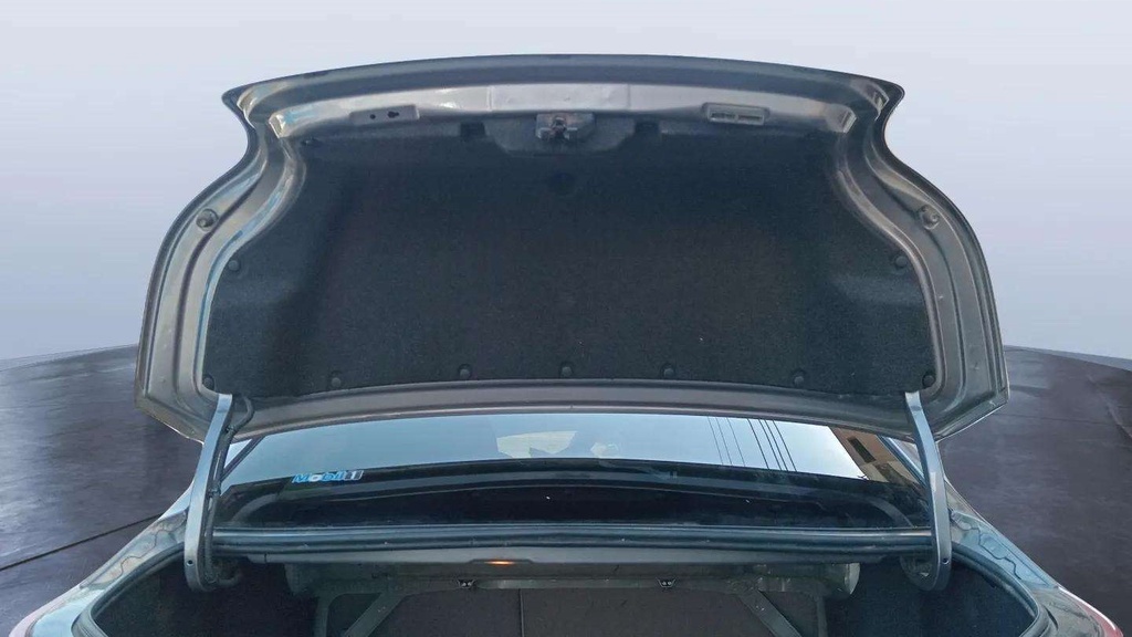 TRUNK HOOD