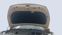 CAR HOOD