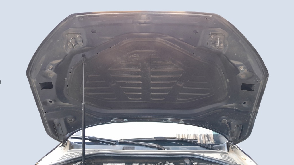 CAR HOOD