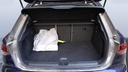 TRUNK