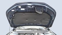 CAR HOOD