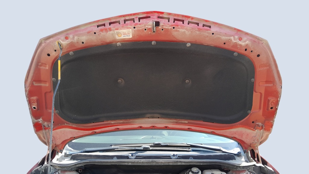CAR HOOD