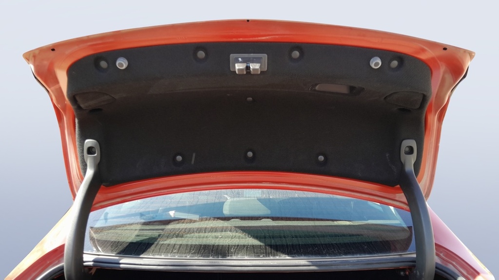 TRUNK HOOD