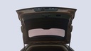 TRUNK HOOD