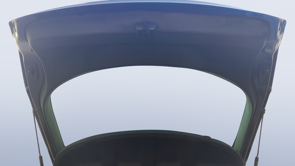 TRUNK HOOD