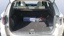 TRUNK