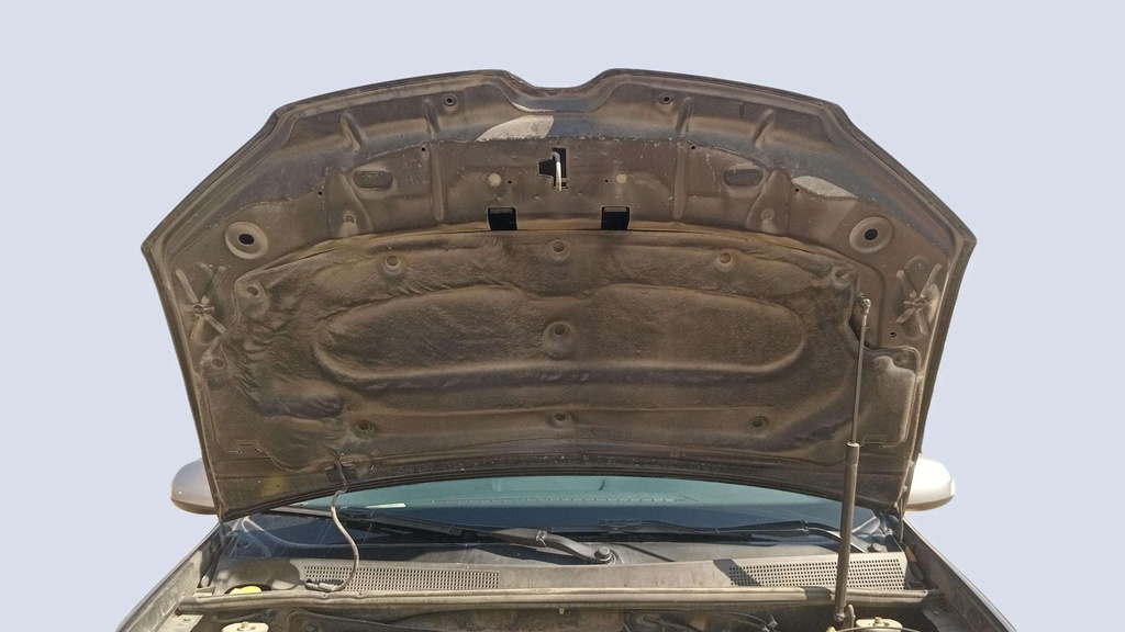 CAR HOOD