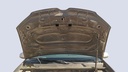 CAR HOOD