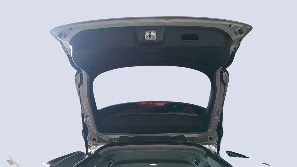 TRUNK HOOD