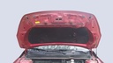 CAR HOOD