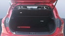 TRUNK