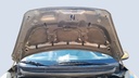 CAR HOOD